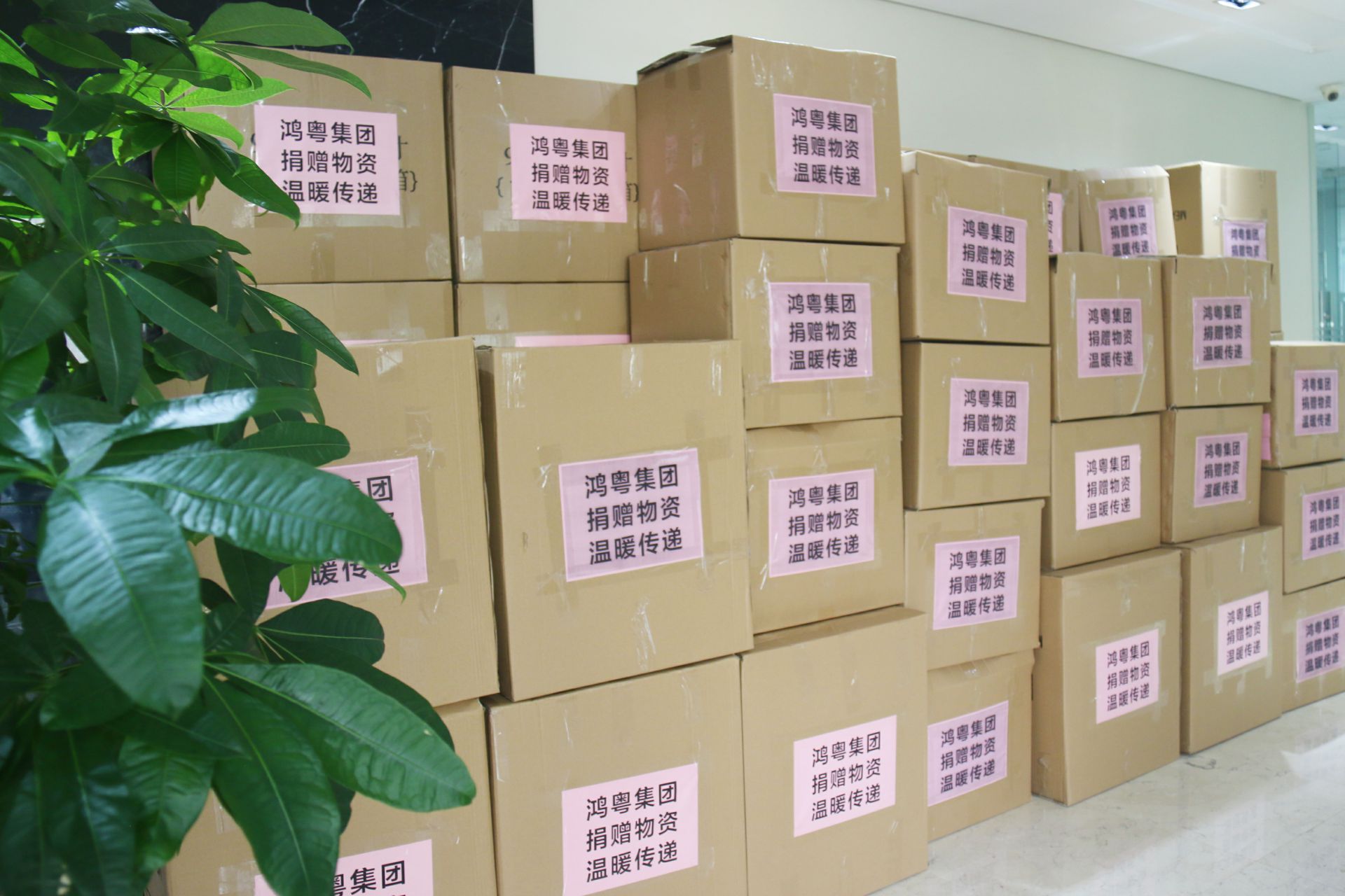 乐动·网站注册-乐动online(中国)公益回顾丨家国同欢月同圆 温暖满载甘孜州(图1)